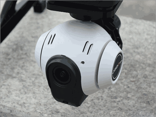 6322600_dsc_1896_thumb.gif