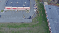 3.gif