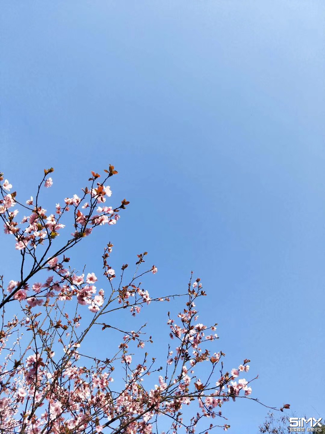 微信图片_20190319162524.jpg 微信图片_20190319162524.jpg