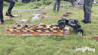 8.gif 8.gif