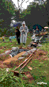 9.gif 9.gif