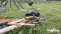 10.gif 10.gif