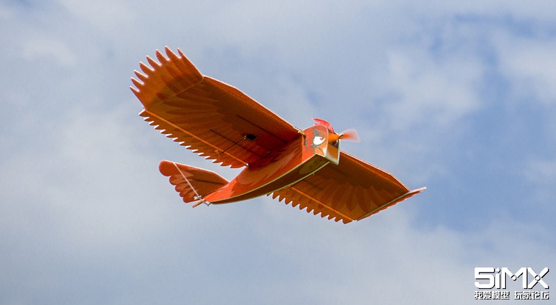 1.2米的像真泡沫飞机北美红雀，附上公园飞行视频