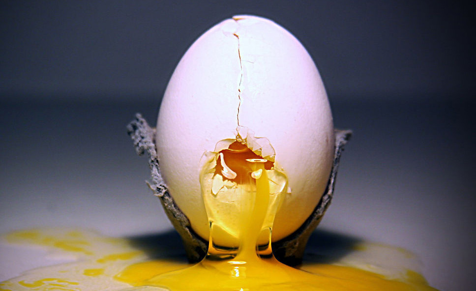 ݷPowerEgg˻ڳɡڡ